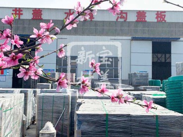 花滿(mǎn)枝頭，春意盎然